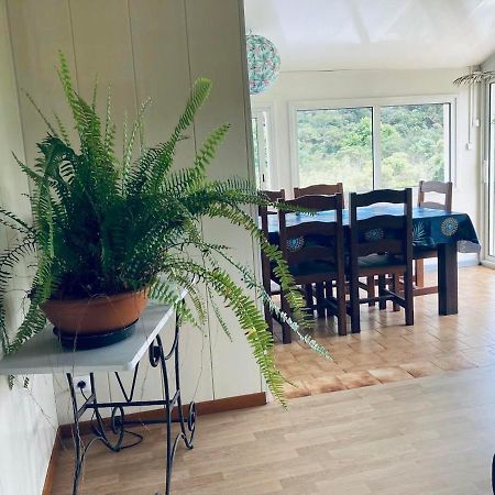 Maison A Bourg- Murat Proche De La Cite Du Volcan La Plaine des Cafres Eksteriør billede