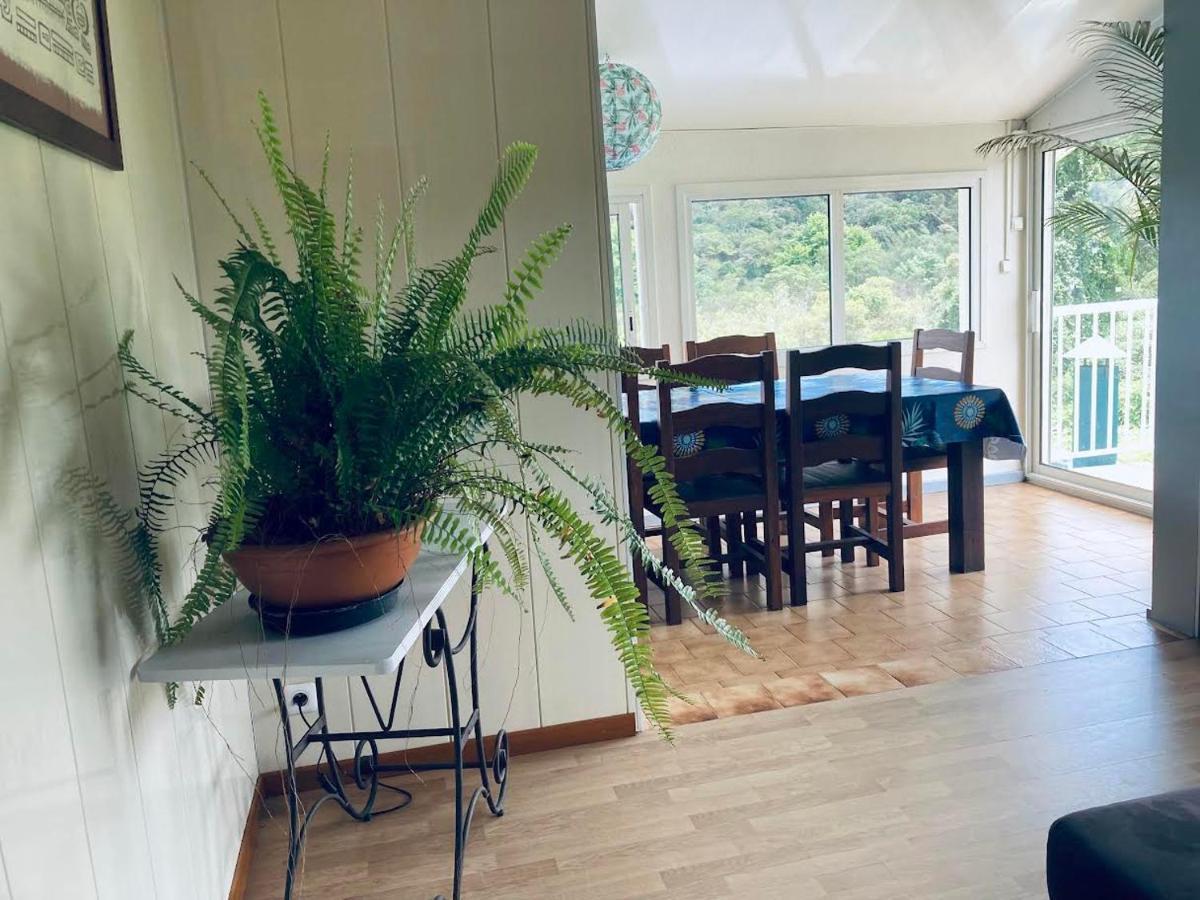 Maison A Bourg- Murat Proche De La Cite Du Volcan La Plaine des Cafres Eksteriør billede